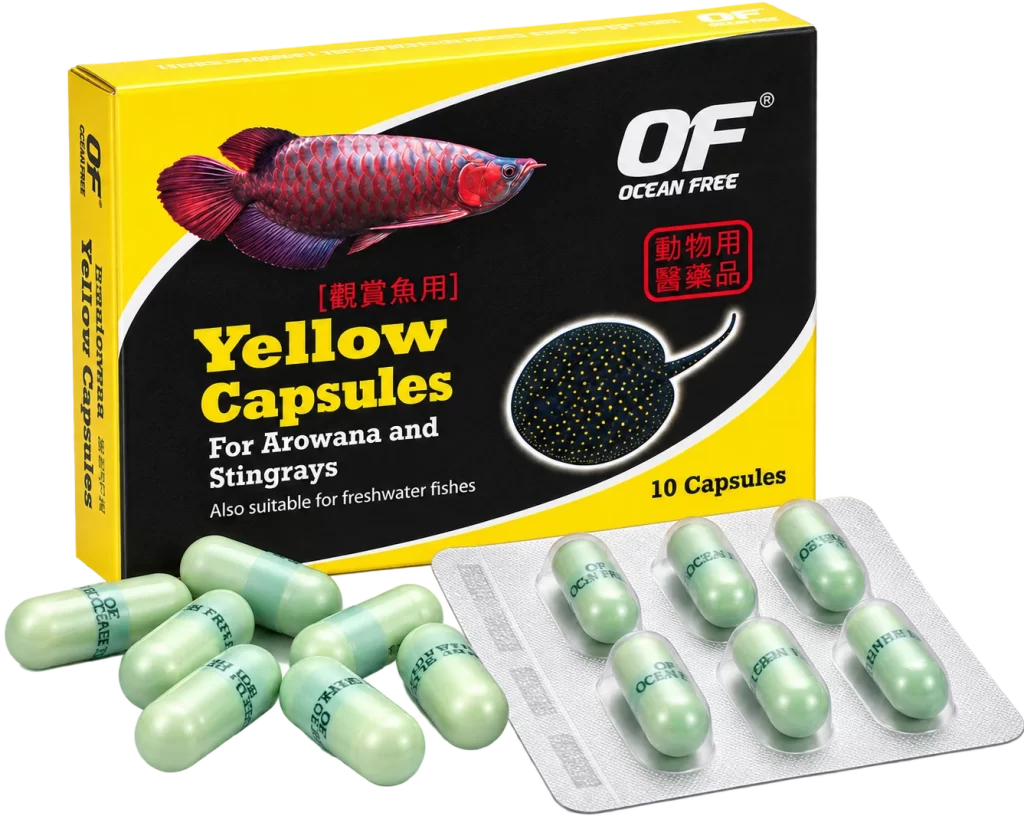 Ocean Free Yellow Capsules for bacterial treatment in Arowana, Stingray and ornamental fish