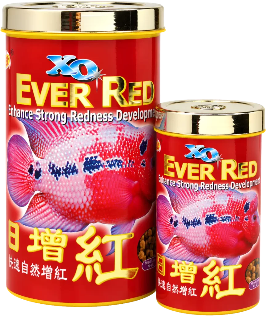 Ocean Free XO Ever Red Flowerhorn food for intense red colour enhancement and overall condition
